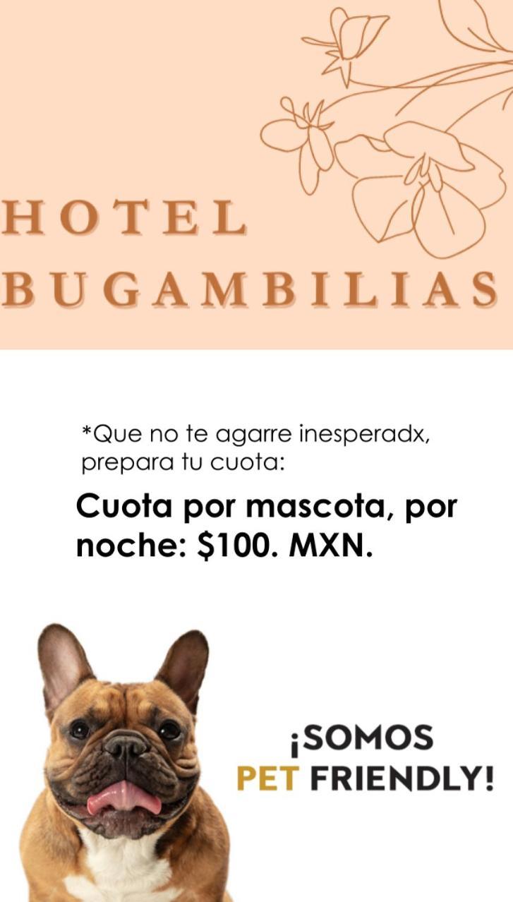 Hotel Bugambilias Oaxaca Dış mekan fotoğraf